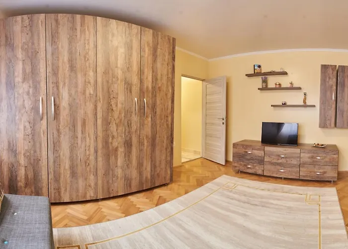 Star 蒂米什瓦拉