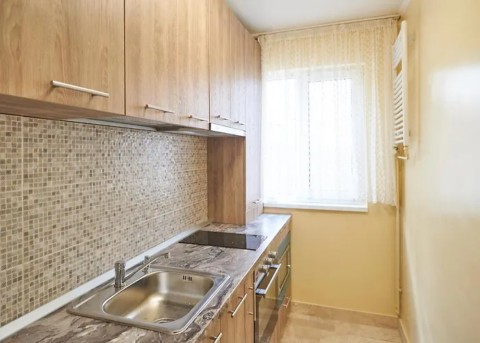 Apartmán Star Temešvár